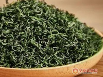 珍香茶葉 技術推廣驅動，品質與效益的雙贏之路