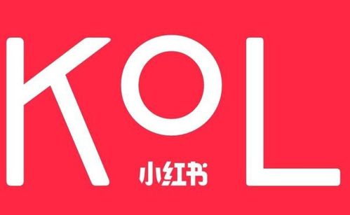 蕓眾科技 借力小紅書KOL達人，打造產品推廣種草與測評新范式